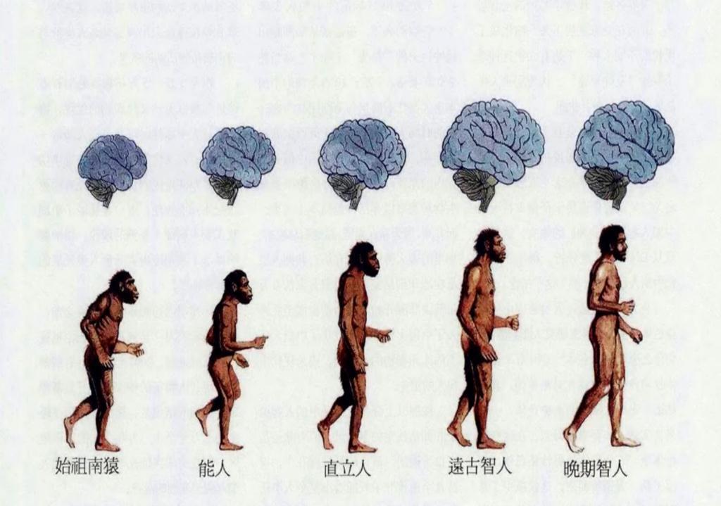 直立人|为什么动物分娩后代那么轻松,人类生孩子却疼得撕心裂肺?