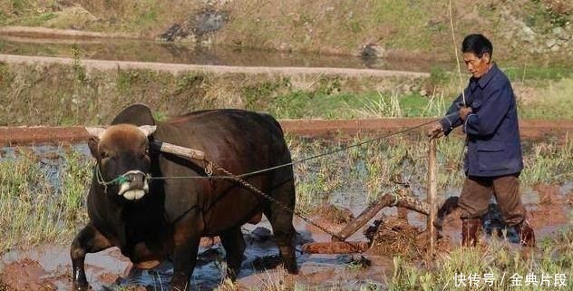 俗语再穷不耕丈人田,下一句才是精华,少为人知,蕴含人生哲理