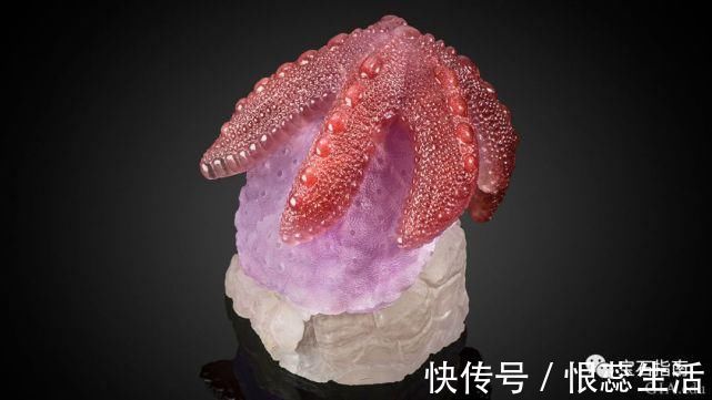 摄影|鉴赏源自海洋的珍宝——“热带天堂”主题珠宝作品