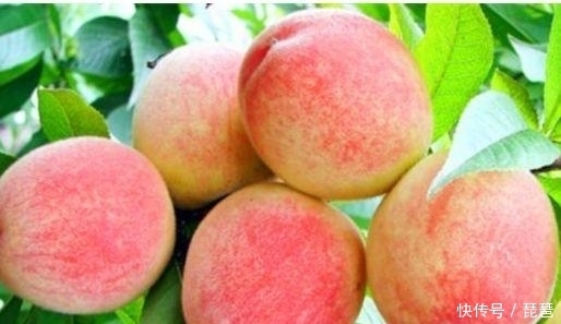 女性想要皮肤好 ，推荐4种食物，排出毒素，补血益气，延缓衰老