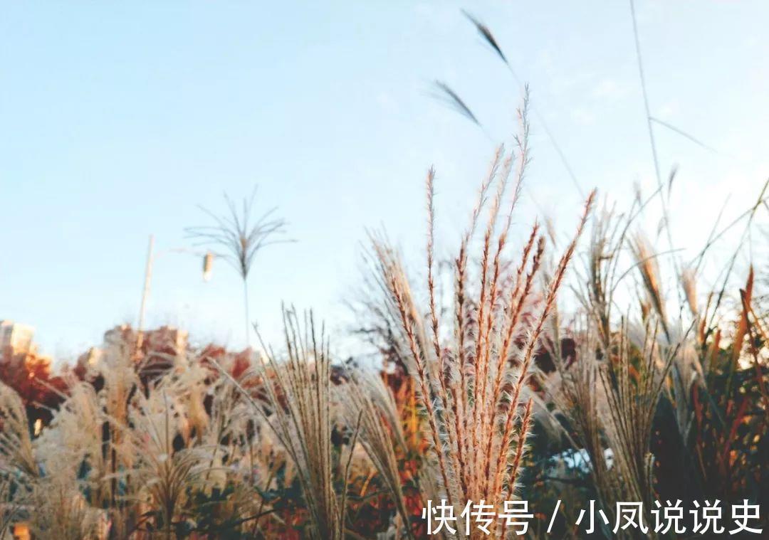 烛光&杜甫最真的一首诗,少年时读不懂,中年后再读泪流满面