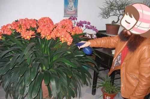 家庭养花,7分靠浇水,4个技巧要学会,一生受用,养啥旺啥