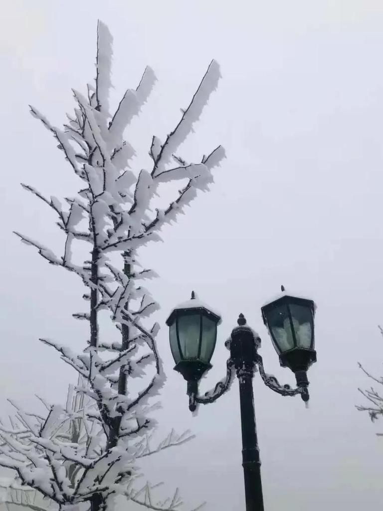 实拍！2021汶川第一场雪，来来来啦！