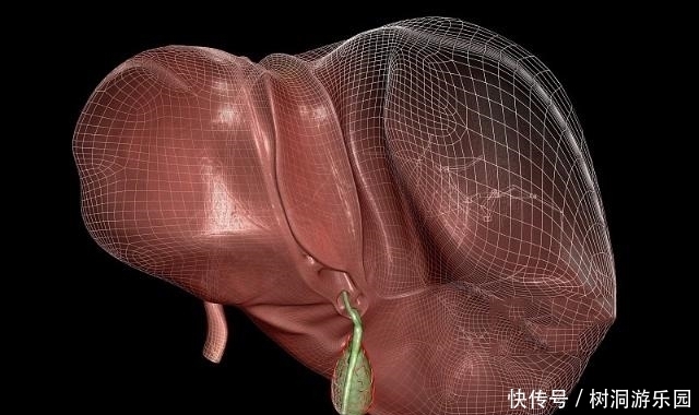 肝脏|无论男女,肝脏受损,睡前4动作多做,通肝经,肝很“开心”
