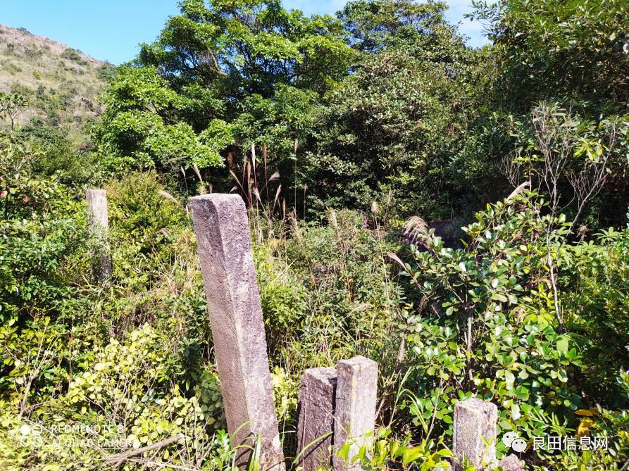 高峰|探寻揭西第一高峰附近的仙人塘古庵遗址