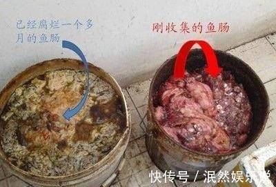 叶子花|阳台养此2种花,开花量比“月季”还大,枝枝满花,耐旱又好养