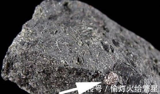 金伯利岩|找到这种植物就能找到钻石？被称为钻石指南针，下次碰见可别放过