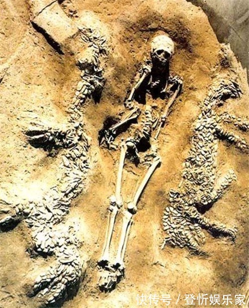 龙文化#四大文明古国为何都有龙文化将它们连起来,竟都来自同一个文明