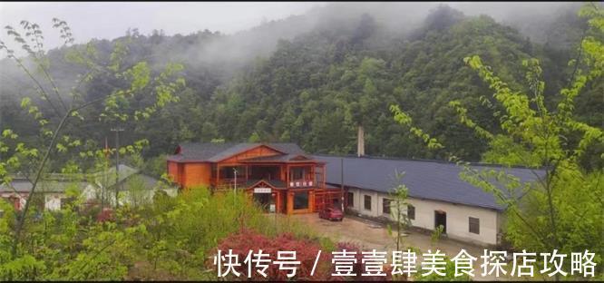 江南天路|安徽皖南川藏线九峰茶谷山庄民宿，几百亩茶园，采茶女手把手教你