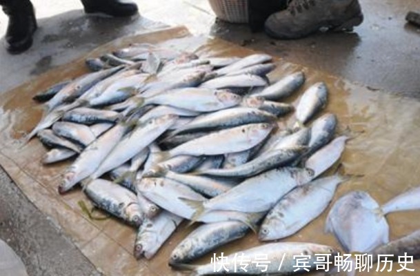 爱吃鱼，认准4种买，目前无法人工养殖，营养高味道鲜，还便宜