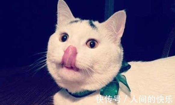 |10条超搞笑的段子,忍不住笑出声来(太好玩了)