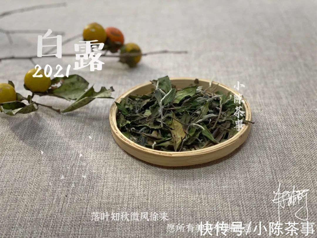 绿茶&六大茶类的划分标准，白茶、绿茶、红茶、黑茶，是靠颜色划分吗？