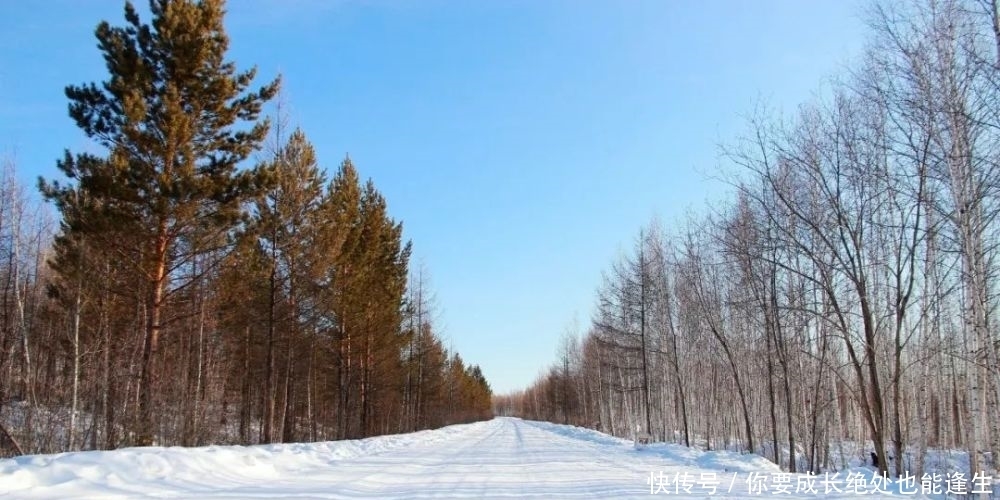 思乡|十首乡愁诗,解你思乡之情