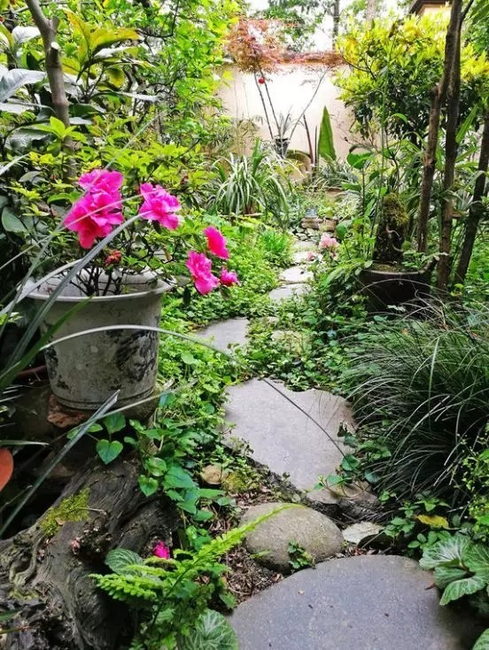 等我们老了,找个院子,清晨养花,傍晚喝茶。