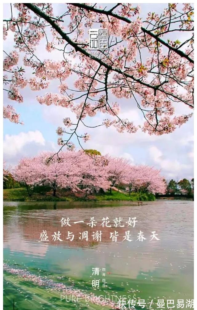 豪宅|“中国第一豪宅”汤臣一品,文案海报有多秀