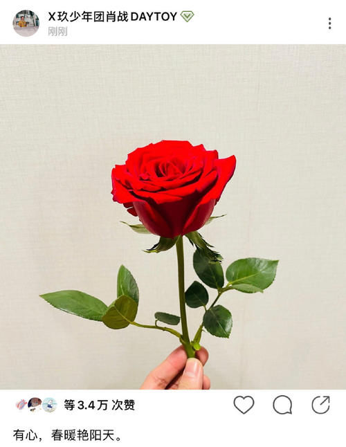 好一句：“倾一城玫瑰，送心上之人”粉丝与偶像之间相互奔赴的爱，实在是妙不可言