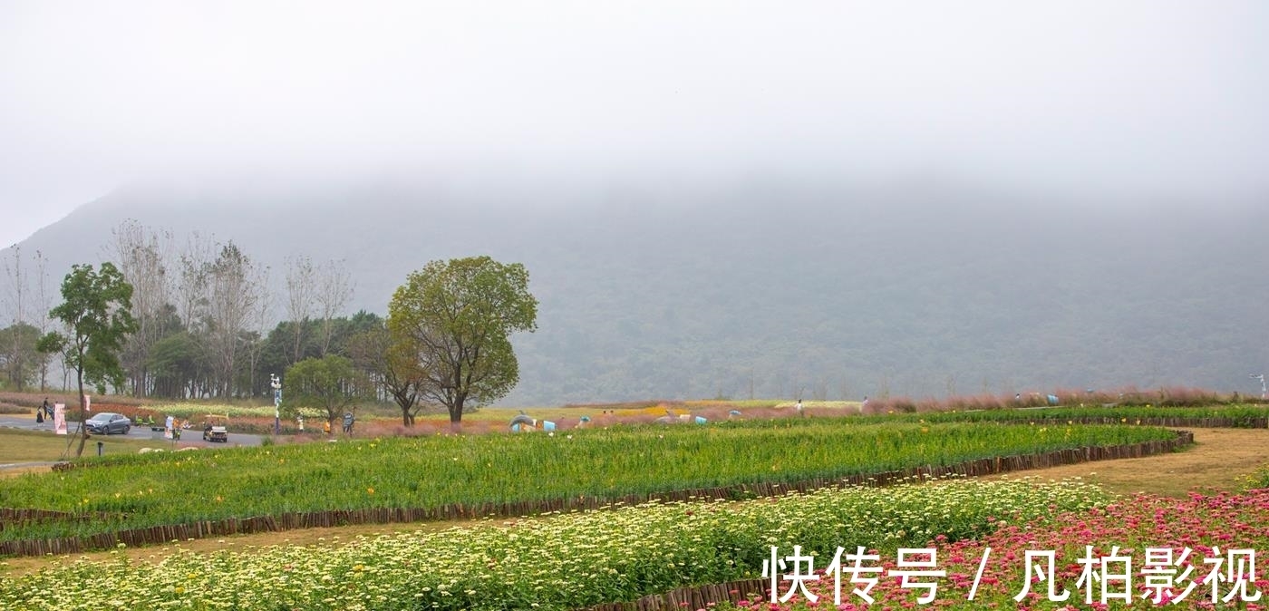 东洼|冬瓜村 一个秋天里五彩斑斓的童话