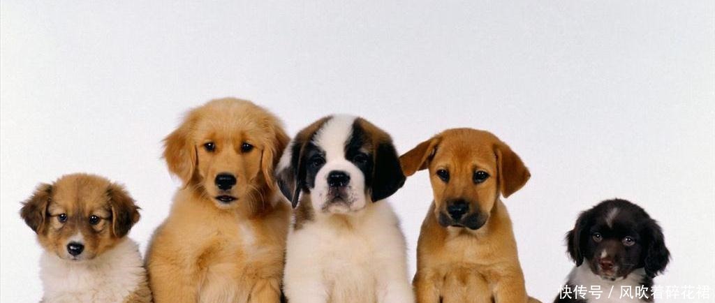 俗语“宅子出现三喜,家中能人辈出”,这三喜分别是什么,准么