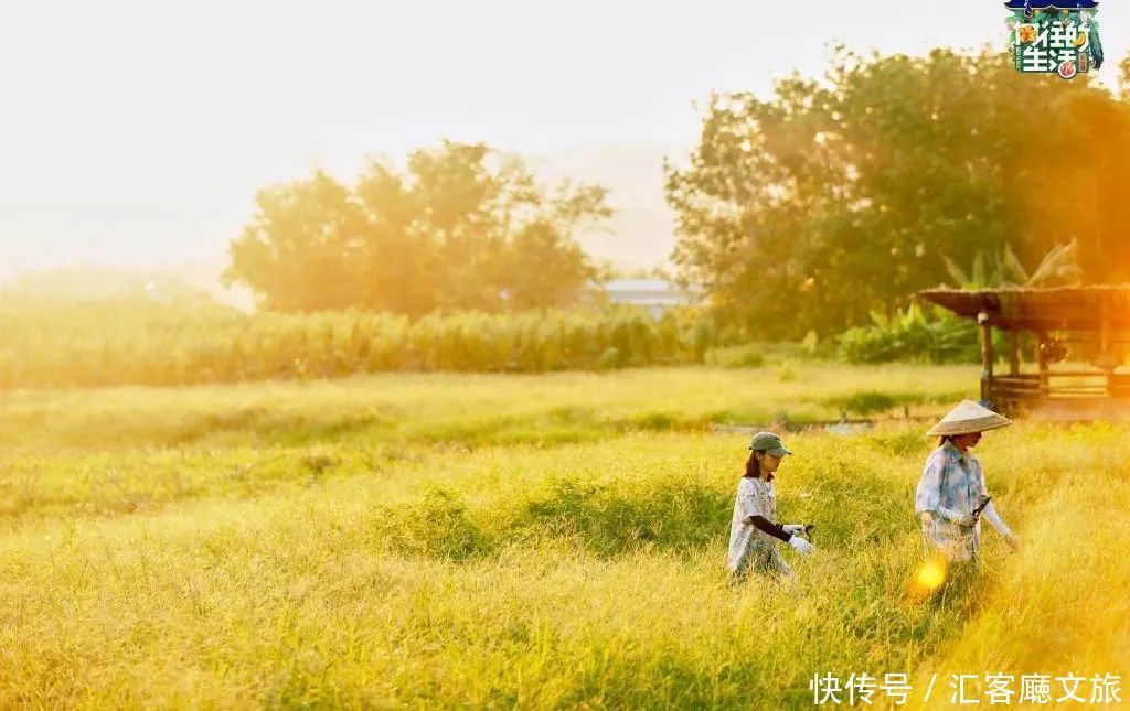 何炅挚爱，“桃花源记”真迹地，《向往的生活5》取景地刷屏！