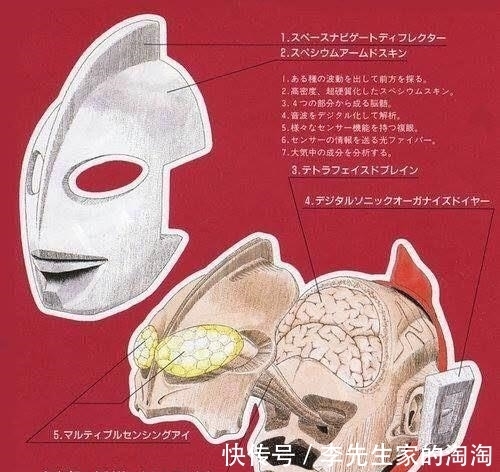 奈克赛斯奥特曼|奥特曼的内部身体构造,不看不知道,希卡利奥特曼:有的研究了