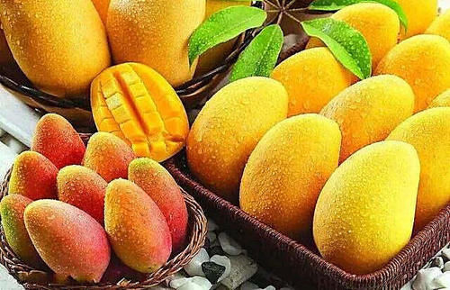 女性不想显老,不妨多吃以下食物,美容养颜,皮肤嫩滑有弹性