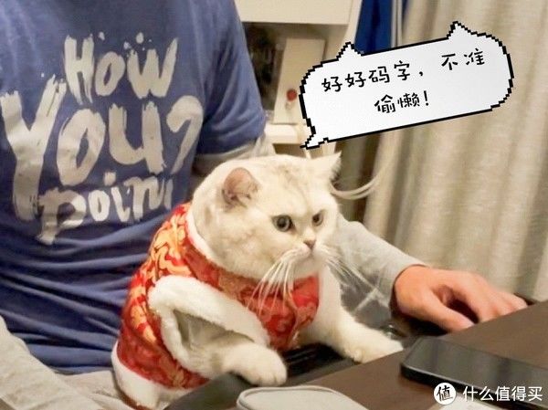 改造|我和智能家居的爱恨情仇 篇六:告别异味 低成本打造智能新风猫厕