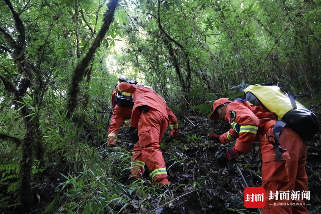 哀牢山|云南哀牢山遇难者遗体转运出山：当晚下了冰雹，救援队有人累倒山上