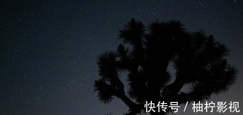 双子座|非常在乎前任，分手后默默关注前任动态的的星座