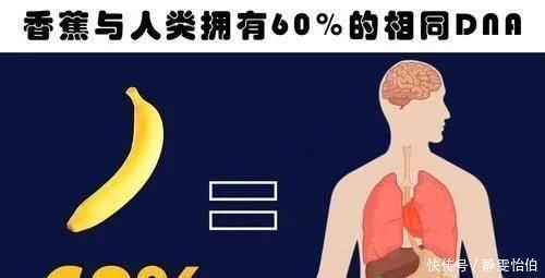 知识|关于人体的10个鲜为人知,但很真实的冷知识