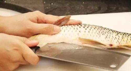 腥味|剃掉“鱼腥线”，大错特错，这4处才是腥味源头，处理好做鱼更鲜