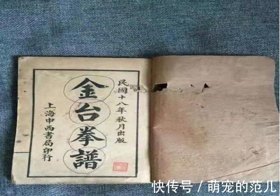 西夏$“将不过李,王不过项,力不过霸,拳不过金”最后的金,是指谁!