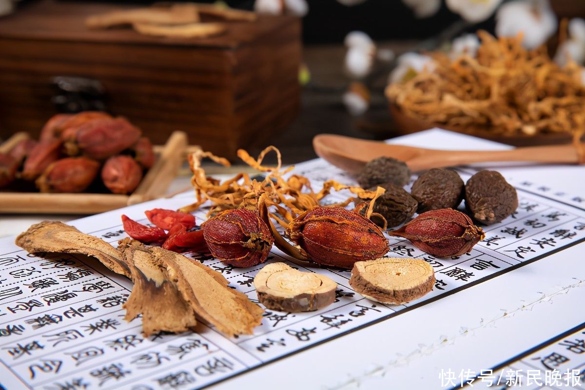 海派|海派中医推良方：从预防到救治、康复 岐黄人一直都在