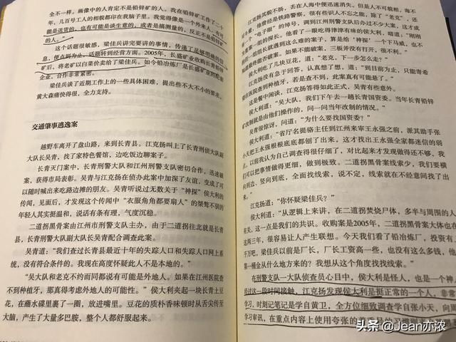  追凶|《侯大利刑侦笔记4》：天降神探，为爱追凶终不悔