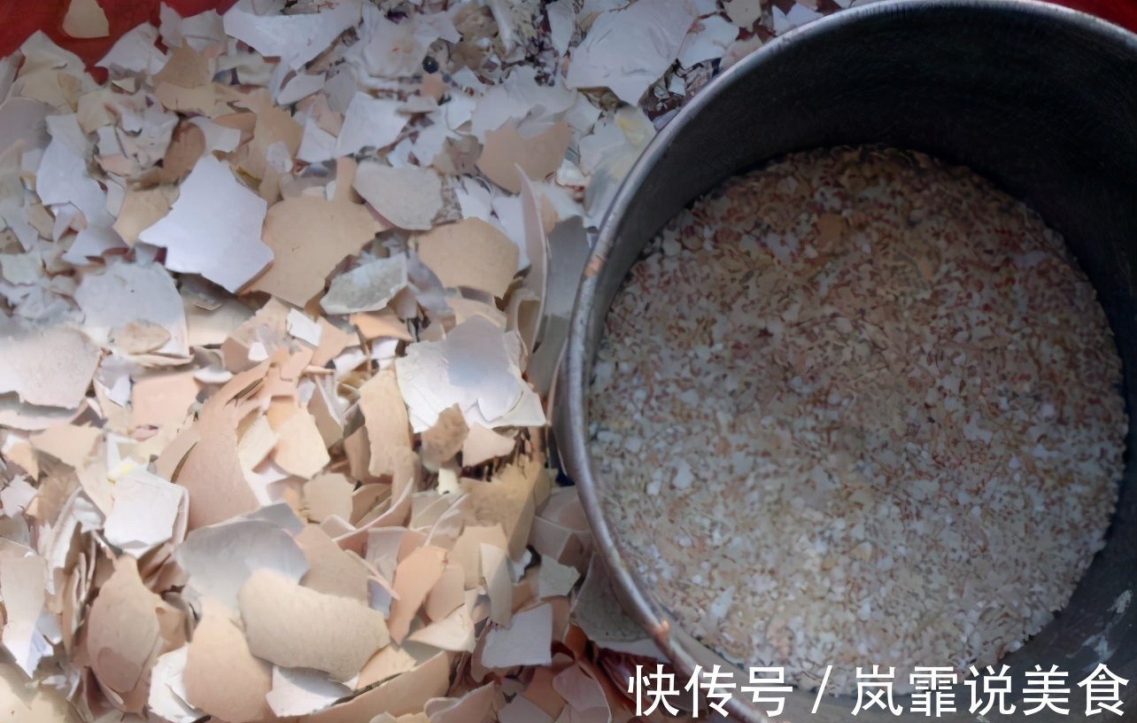 蛋壳的营养、制肥方法、养花的好处,大家知道多少