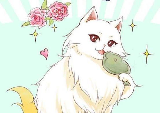 哆啦美国我有只猫叫杰瑞,日本我的叫哆啦A梦,中国弟弟们让下