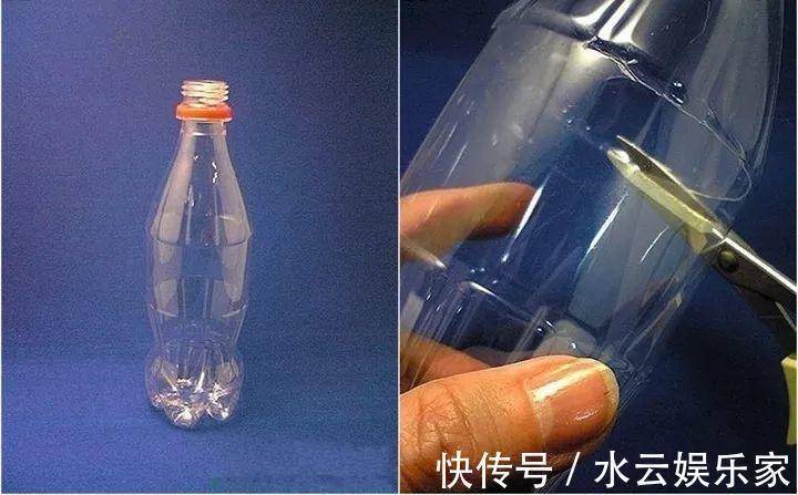 雪碧瓶别丢了，剪个口子拿来养花，一点不比买得花盆差！