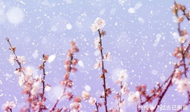 临事|临事须替别人想,论人先将自己想