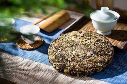  “茶因不饮而凉，人因不惜而散”这句话出自哪里？