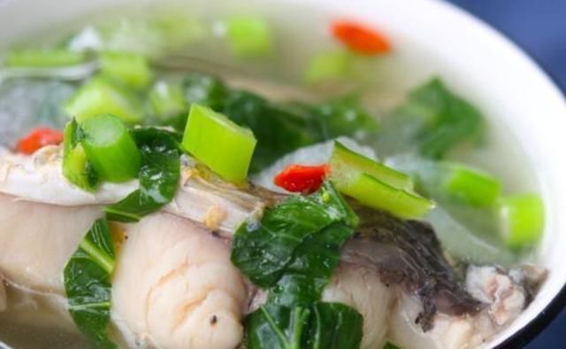 冬瓜|这鱼比牛羊肉还滋补,5块钱一斤无人买,清热祛湿,用来炖汤最好