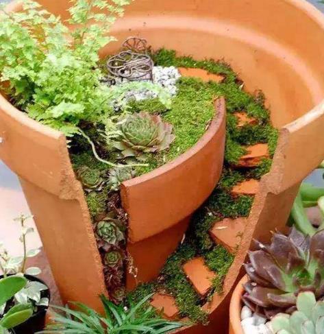 不小心打碎了花盆,捡起来,种上多肉植物,变成漂亮的盆景!