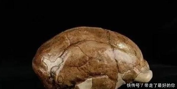 下落不明|历史上这4件国宝至今下落不明,拥有任意一件,身价直逼马云!