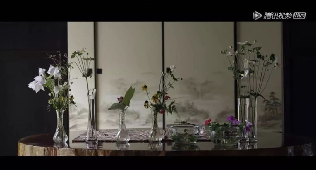 能力|《奇遇人生2》银发族:生活美得不经意,才有乐观的能力