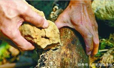 古人|专家在孟津寨出土神秘陶罐,研究后,发现它是古代“打火机”