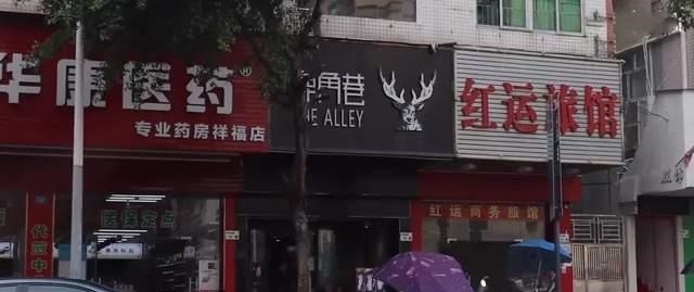UP主|B站分区千百个,但这些UP主,一人“独占”一个分区