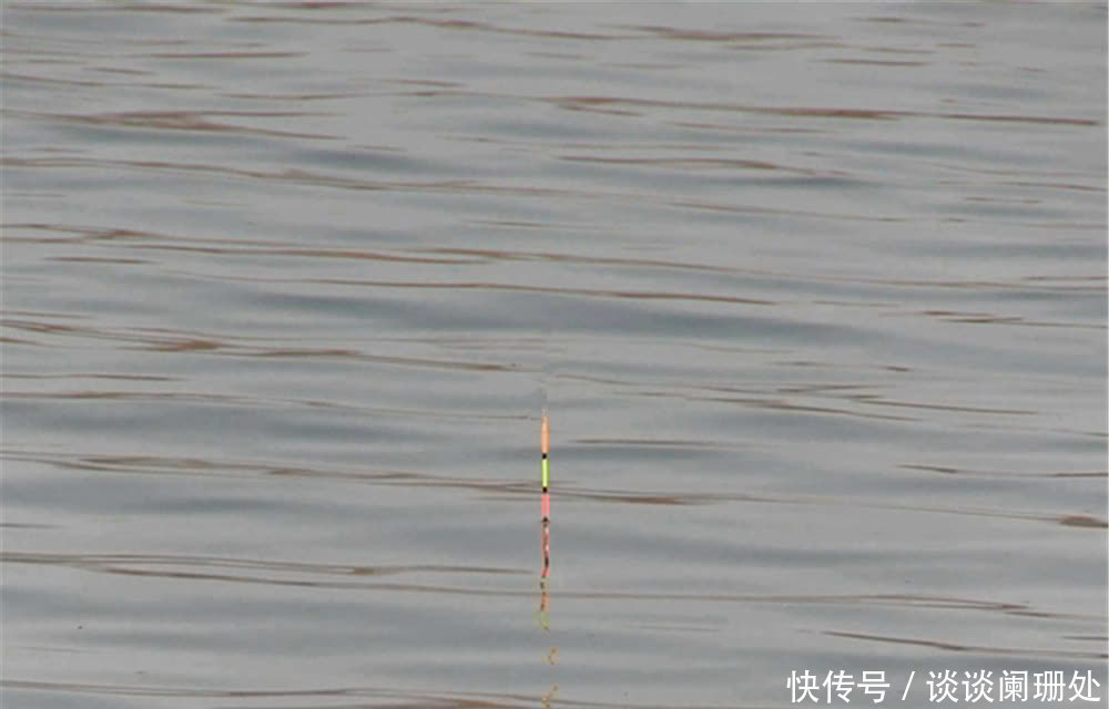 钓灵|野钓调漂就是钓钝,鱼情好要钓钝,鱼口轻也要钓钝,知道原因吗?