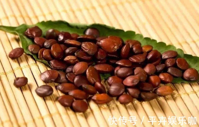 心脾两虚|晚上失眠多梦怎么办?别着急,日常常见的酸枣仁,助你一觉到天亮