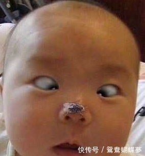 小姐姐|宝宝的搞笑生活: 我去?灰机?吓死宝宝了,这些宝宝太逗了