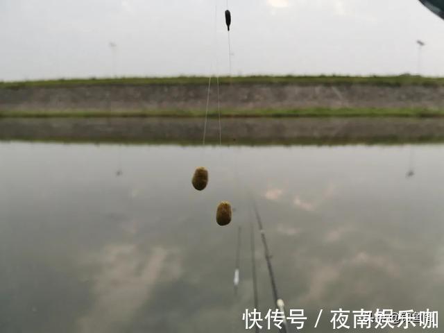 短子|10公分还是20公分?野钓子线用多长,记住这几种情况就好