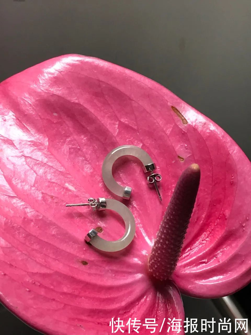 醉象|编辑部｜本周的编辑推荐，就俩字儿——实用