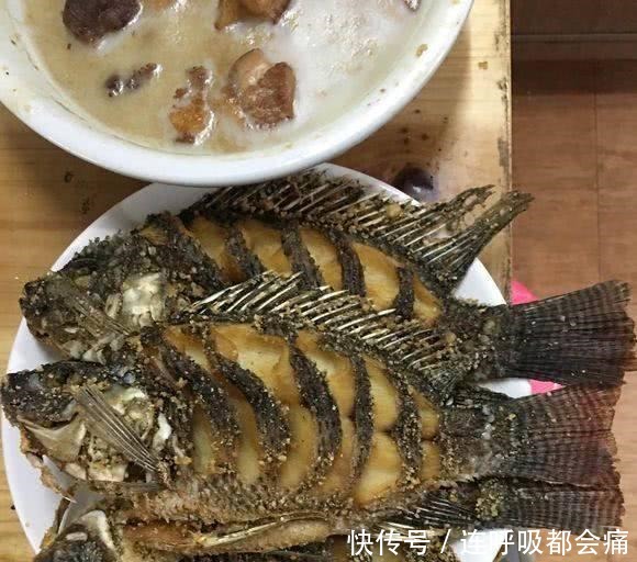 罗非|排水渠钓到一条怪罗非，全身花斑，钓友说是罗非鱼王！